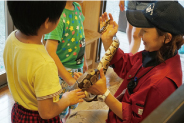 林間学園写真