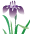 花菖蒲イラスト