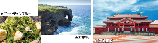 ゴーヤチャンプルー 万座毛 首里城写真