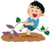 芋ほりをする少年イラスト