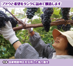 特集 ブドウと希望をタンクに詰めて醸造します 特集 国家戦略特区を活用した地方創生