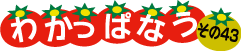 わかっぱなう　その43