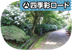 （A）四季彩ロード写真