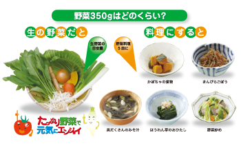 野菜350gはどれくらい？写真