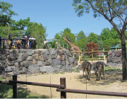 到津の森公園の園内写真