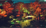 小倉城庭園ライトアップ写真