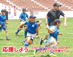 応援しよう ラグビーワールドカップ2019TM&ウェールズ代表チーム写真