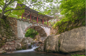 順天・松広寺写真