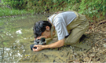 自然写真家・武田晋一さん写真