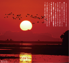 曽根干潟の日の出 写真提供:青木克磨さん