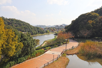 中央公園（戸畑区金比羅町ほか）写真