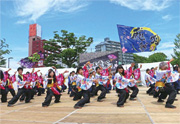 黒崎よさこい祭り写真