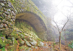 「楓杉峡石の桟橋」写真