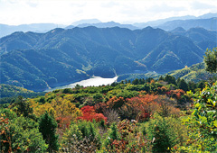 「山粧う（やまよそう）」写真