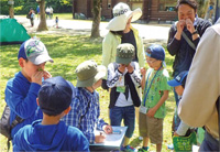 もりの観察会の様子写真