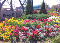 勝山公園写真