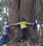 平尾台自然観察センターの催し写真