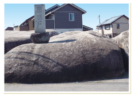 帝踏石(たいとうせき)写真