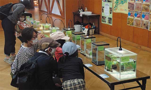 秋の山田の森フェスタ写真