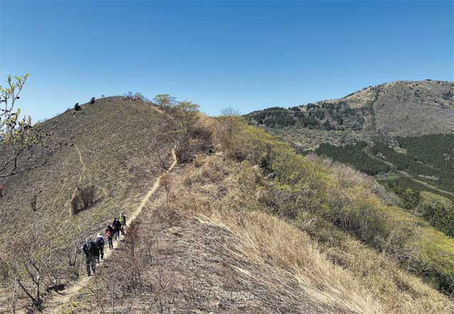 平尾台三峰登山写真