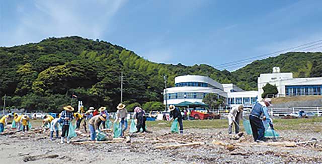 海岸のごみ拾い写真