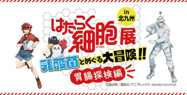 はたらく細胞展　乳酸菌とめぐる大冒険!!胃腸探検編 in北九州