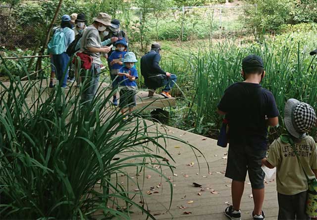 公園でネイチャーゲーム写真