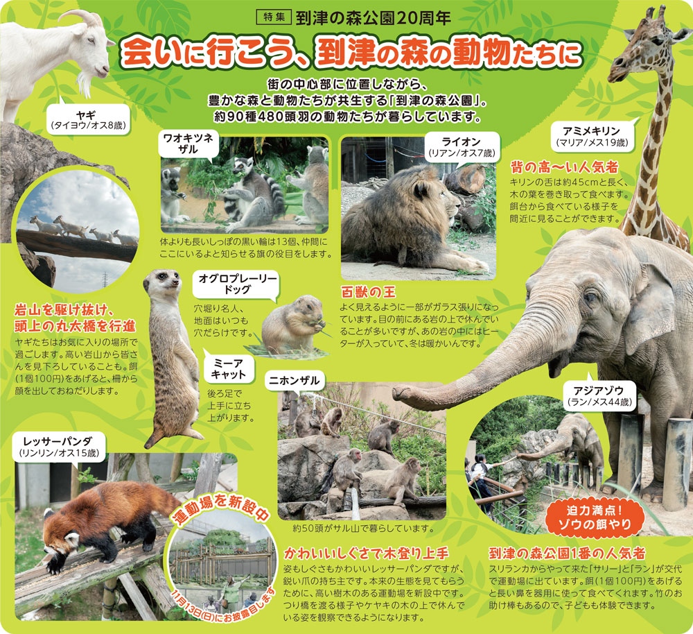 動物写真