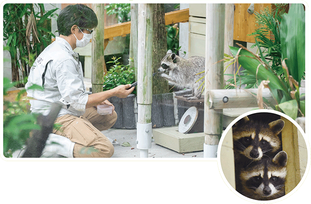 飼育員写真