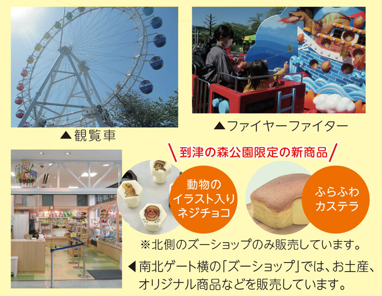 観覧車、ファイヤーファイター、南北ゲート横の「ズーショップ」では、お土産、オリジナル商品などを販売しています。
到津の森公園限定の新商品
動物のイラスト入りネジチョコ
ふらふわカステラ
※北側のズーショップのみ販売しています。