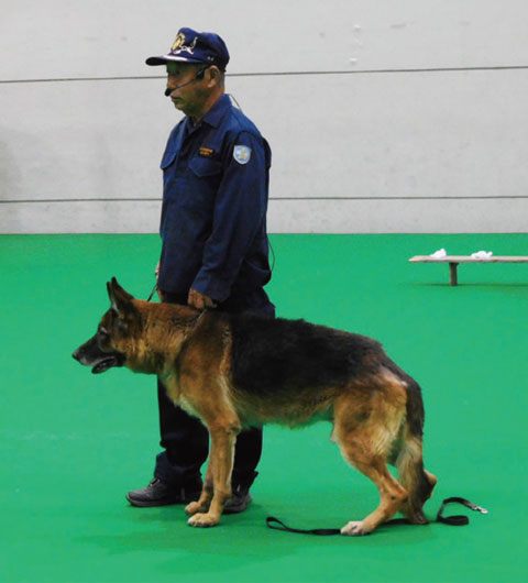 警察犬による実演写真