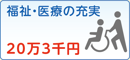 福祉・医療の充実　20万3千円