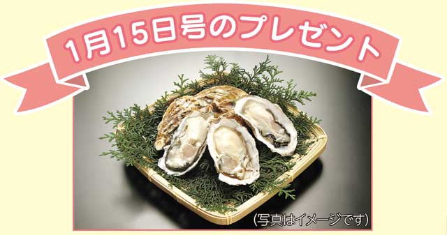豊前海一粒かき写真