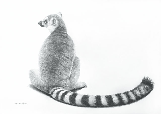 鉛筆画作品写真