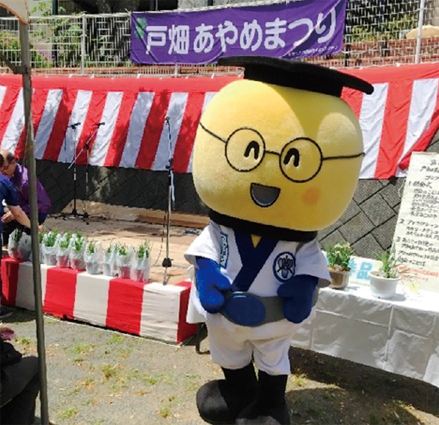 戸畑あやめまつり写真