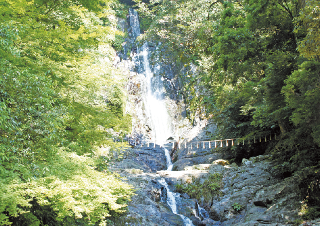 菅生の滝写真