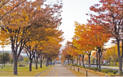 東田大通り公園周辺