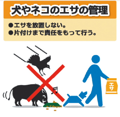 犬猫のエサを放置しないで! イノシシのエサになりますイラスト