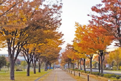 東田大通り公園周辺