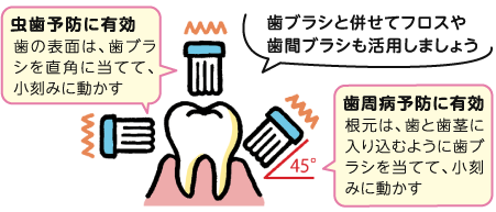 虫歯予防に有効　歯の表面は、歯ブラシを直角に当てて、小刻みに動かす　歯ブラシと併せてフロスや歯間ブラシも活用しましょう　歯周病予防に有効　根元は、歯と歯茎に入り込むように歯ブラシを当てて、小刻みに動かす