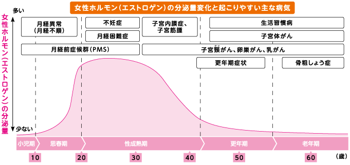 女性の健康推進室「ヘルスケアラボ」のご紹介の画像