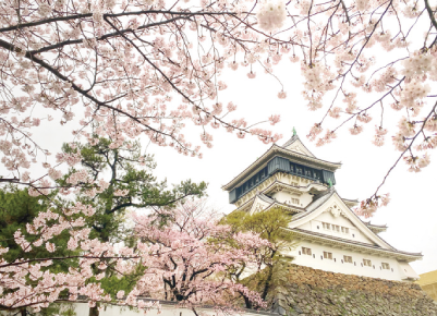 小倉城桜まつりの画像