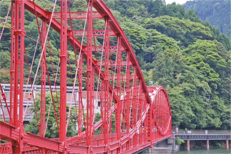 河内クリーンウオークの写真