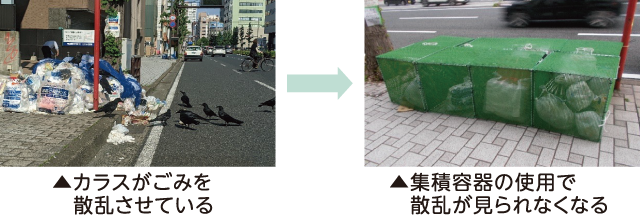 カラスがごみを散乱させている時と集積容器の使用で散乱が見られなくなる時の画像