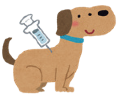 狂犬病予防注射のイラスト