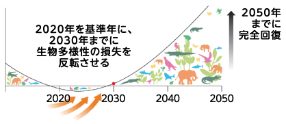 2020年を基準年に、2030年までに生物多様性の損失を反転させる　2050年までに完全回復