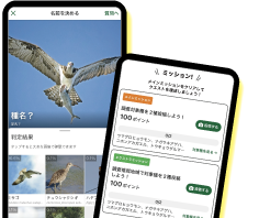 アプリ画面の写真