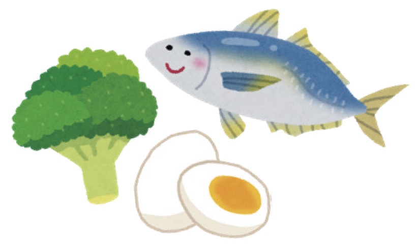 食材のイラスト