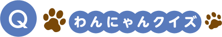 Q わんにゃんクイズ