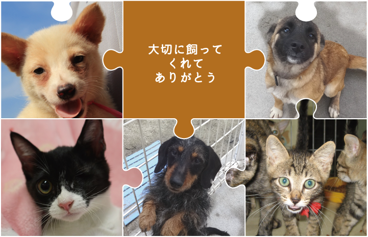 大切に飼ってくれてありがとう